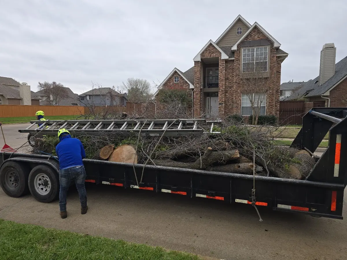 Expert Tree Removal with proper safety equipment in Larsen Bay